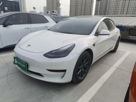 特斯拉 Model 3 2022款 后轮驱动版