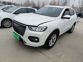 哈弗H6 2021款 1.5T 自动都市版