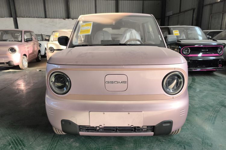 吉利银河 2024款 熊猫mini 200km 耐力熊车身外观2