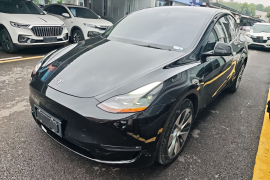 特斯拉 Model Y 2021款 长续航全轮驱动版