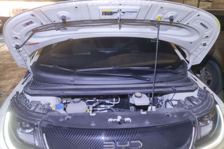 比亚迪 海豚 2024款 荣耀版 420km 时尚版机舱底盘24