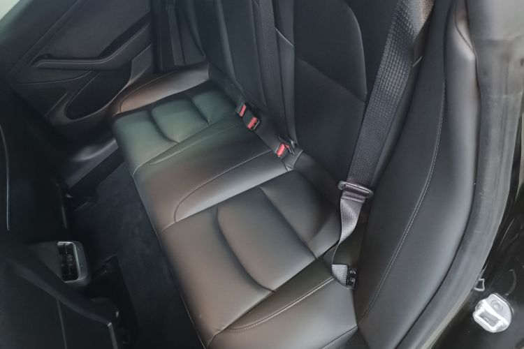 特斯拉 Model 3 2020款 改款 长续航后轮驱动版中控内饰21