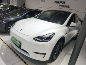 特斯拉 Model Y 2022款 后轮驱动版