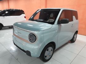 吉利银河 2024款 熊猫mini 200km 龙腾PRO版