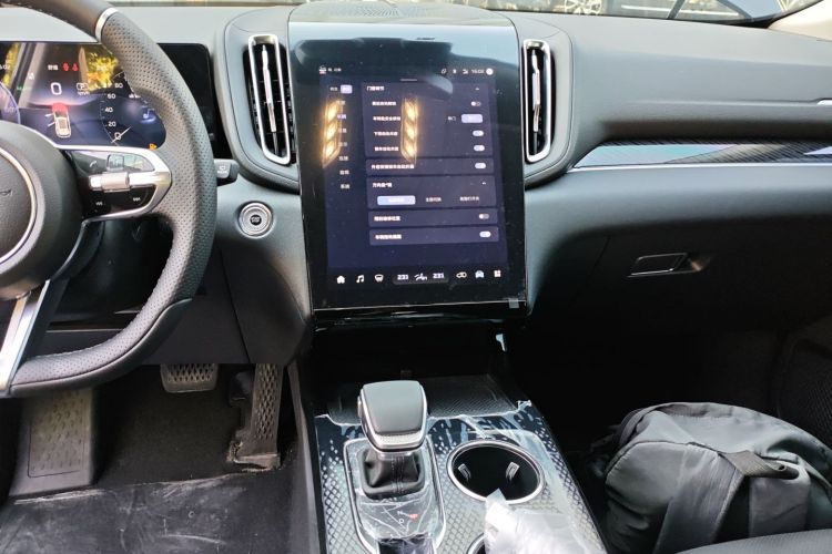 红旗HS3 PHEV 2024款 PHEV 115km 劲为版中控内饰16