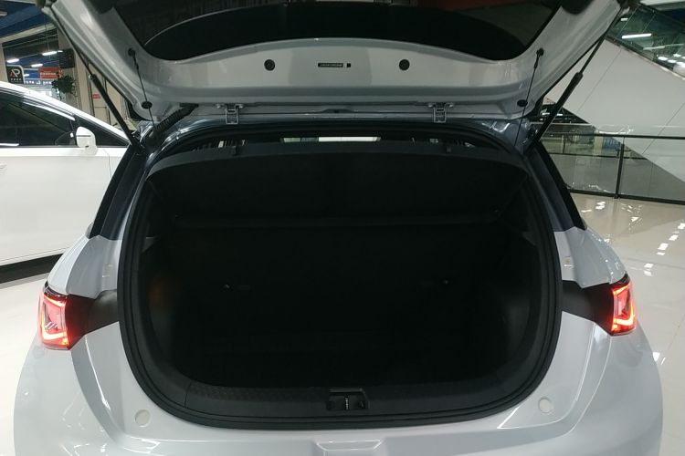 比亚迪 海豚 2021款 405km 时尚版局部细节23