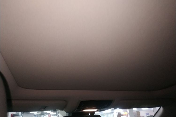 雷克萨斯RX 2020款 改款 300 四驱典雅版局部细节22