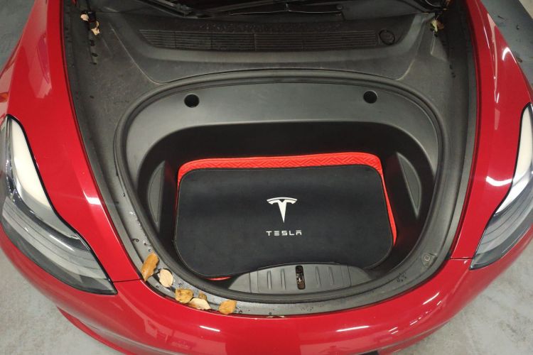 特斯拉 Model 3 2021款 改款 标准续航后驱升级版 3D1局部细节24