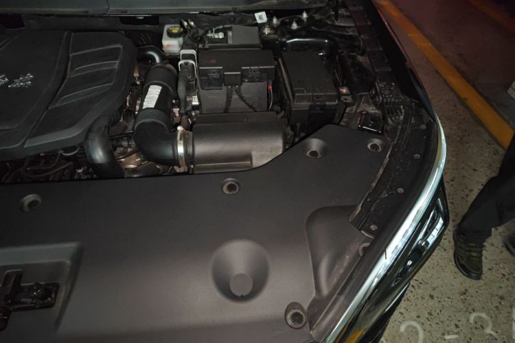 红旗HS5 2023款 2.0T 旗享Pro版局部细节9007