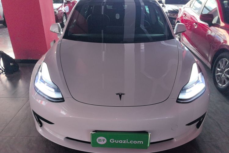 特斯拉 Model 3 2021款 标准续航后驱升级版车身外观6001