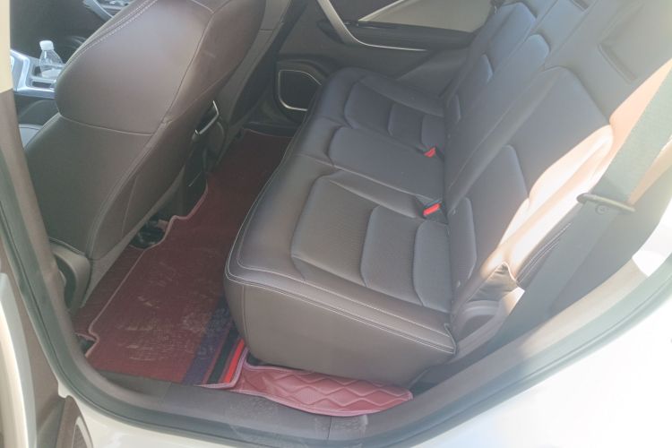 睿蓝汽车 枫叶80V 2021款 易行版 三元锂中控内饰21