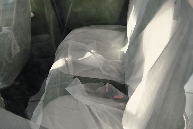 吉利银河 2025款 210km 熊猫骑士中控内饰7004