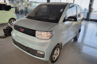 五菱汽车 宏光MINIEV 2020款 自在款 磷酸铁锂