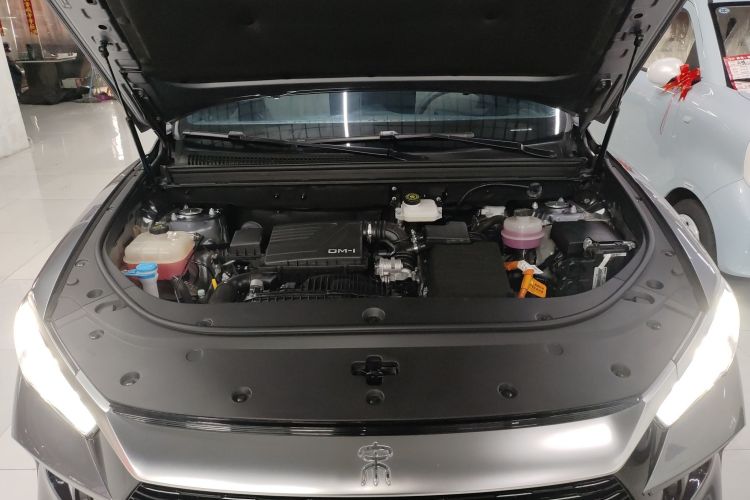 比亚迪 宋Pro新能源 2023款 冠军版 DM-i 110KM卓越型局部细节24