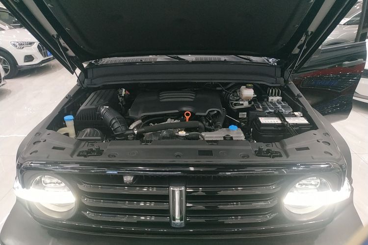 坦克300 2021款 越野版 2.0T 征服者局部细节24