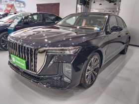 红旗H9 2024款 2.0T 旗畅 私享风尚版