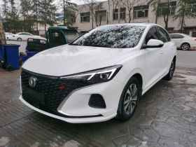 长安 逸动 2020款 PLUS 蓝鲸NE 1.4T GDI DCT尊贵型