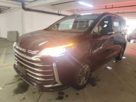 上汽大通MAXUS 大通G50 2023款 PLUS 1.5T 自动护航版