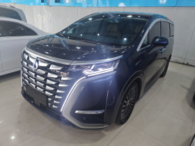 腾势D9 2022款 DM-i 970 四驱旗舰型