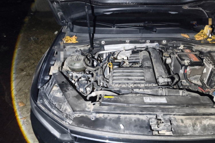 大众 迈腾 2019款 280TSI DSG 舒适型 国VI局部细节9006