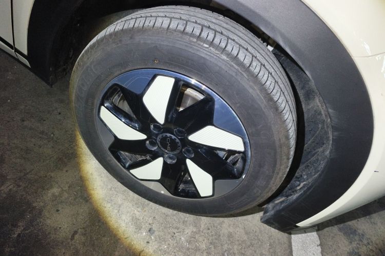 比亚迪 海豚 2025款 420km 自由版车身外观6007