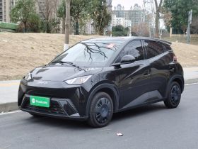 比亚迪 海鸥 2025款 305km 活力版