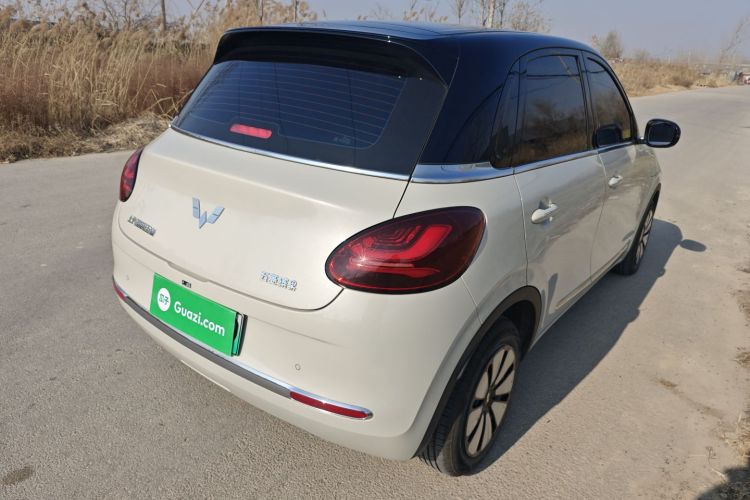 五菱汽车 五菱缤果 2024款 333km 悦享款车身外观7