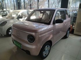 吉利银河 2024款 熊猫mini 200km 耐力熊