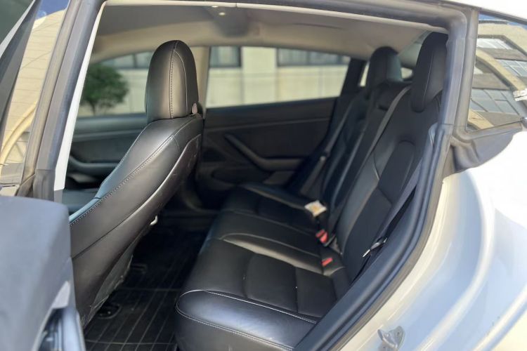 特斯拉 Model 3(进口) 2019款 长续航全轮驱动版中控内饰21
