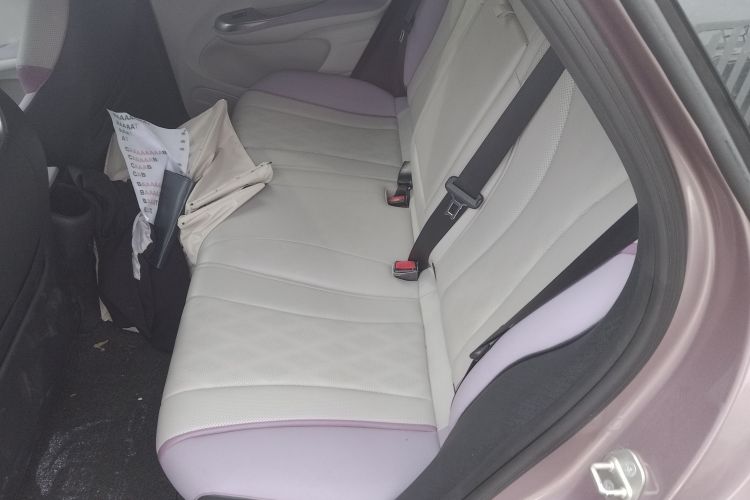 比亚迪 海豚 2023款 420km 时尚版中控内饰7004