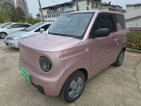 吉利银河 2023款 熊猫mini 200km 耐力熊