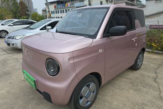 吉利银河 2023款 熊猫mini 200km 耐力熊
