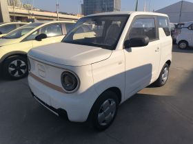 吉利银河 2024款 熊猫mini 200km 耐力熊