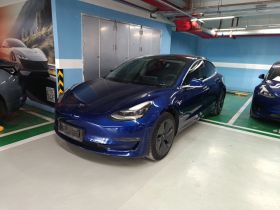特斯拉 Model 3 2020款 改款 长续航后轮驱动版