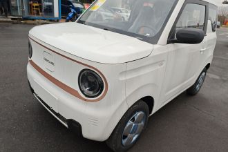 吉利银河 2024款 熊猫mini 200km 耐力熊