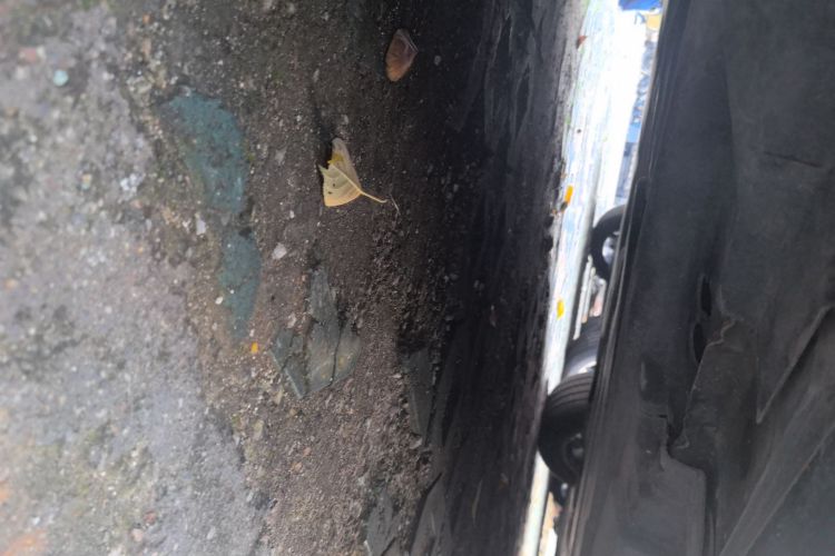 奔驰R级 2017款 R 320 4MATIC 商务型臻藏版局部细节9002