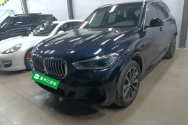 宝马X5(进口) 2022款 xDrive40i M运动套装