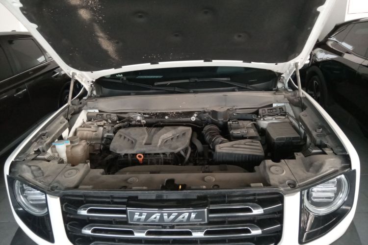 哈弗大狗 2022款 2.0T DCT四驱哮天犬版机舱底盘24