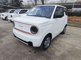 吉利银河 2024款 熊猫mini 200km 耐力熊