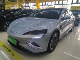 比亚迪 海豹 2022款 550km 标准续航后驱版尊贵型