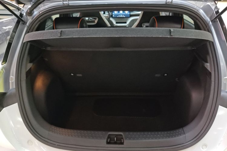 比亚迪 海豚 2021款 405km 时尚版机舱底盘23