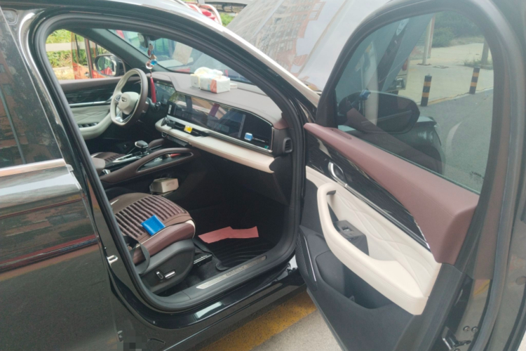 吉利汽车 星越L 2021款 2.0TD DCT EVO两驱尊贵型局部细节9005