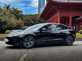 特斯拉 Model 3 2021款 改款 标准续航后驱升级版 3D1