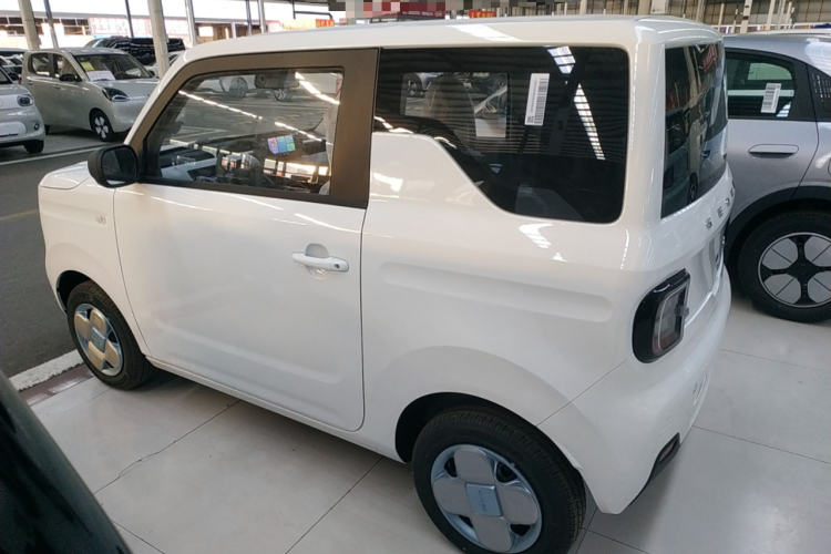 吉利银河 2024款 熊猫mini 200km 耐力熊车身外观4