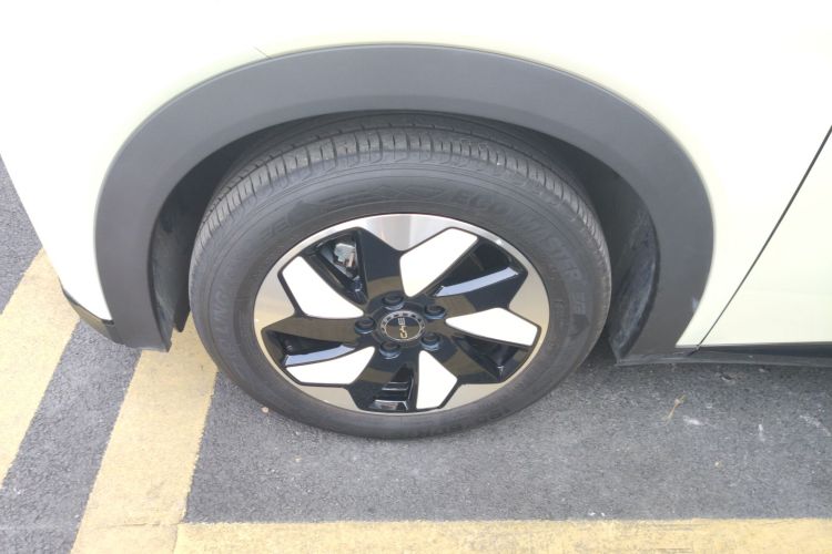 比亚迪 海豚 2024款 荣耀版 420km 时尚版车身外观6002