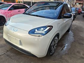 五菱汽车 五菱缤果 2023款 333km 悦享款