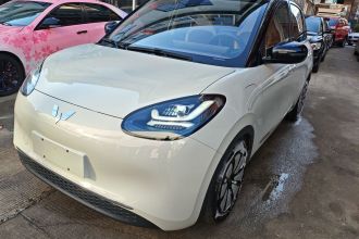 五菱汽车 五菱缤果 2023款 333km 悦享款