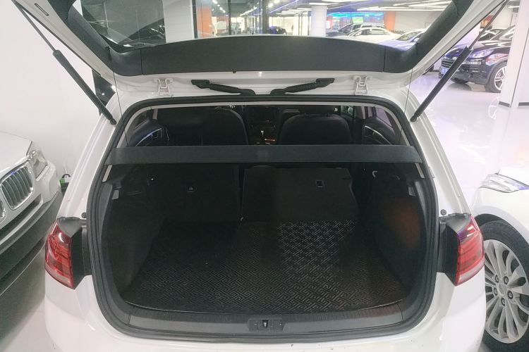 大众 高尔夫 2019款 200TSI DSG舒适进取版 国VI机舱底盘23