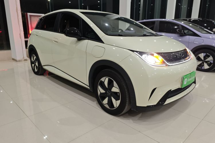 比亚迪 海豚 2024款 荣耀版 420km 自由版车身外观3