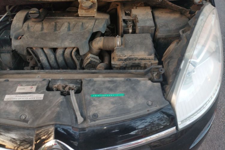 雪铁龙 C4 PICASSO 2009款 Grand 2.0L 舒适型局部细节9007